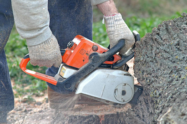 Best Lawn Watering Services  in Choctaw Lake, OH